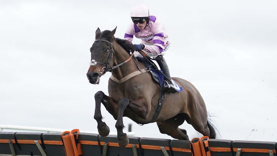 Horse jumping